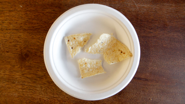 Illustration for article titled 6 Broken Chips That Could Still Hold Salsa If You Just Gave Them A Chance